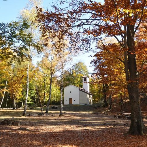 5 sentieri dove la castagna è regina: il parco del Castagno
