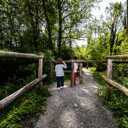 Il Parco della Valle della Motta