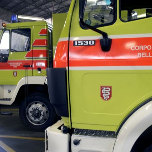 Bellinzona, cade da un ciliegio: è grave all’ospedale