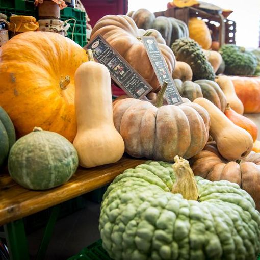 Di che zucca siete? Scopritelo alla Sagra della zucca di Castel San Pietro