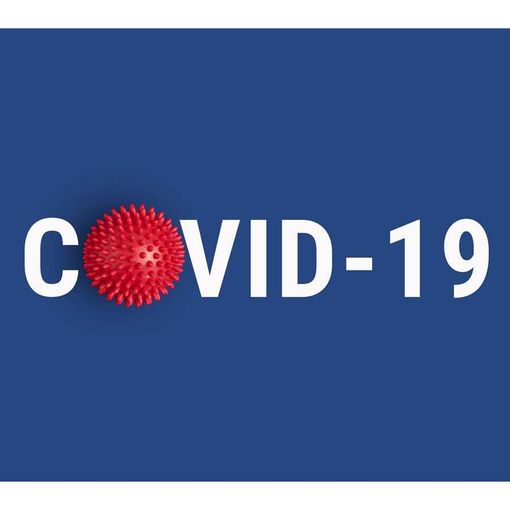 Quello che i ticinesi debbono sapere sugli aiuti Covid