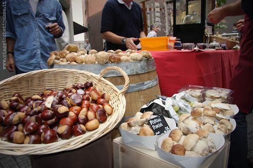 A Lugano arriva la &quot;Festa d'Autunno&quot;