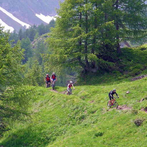 Bovarina Bike, dal fondovalle fino alle capanne alpine
