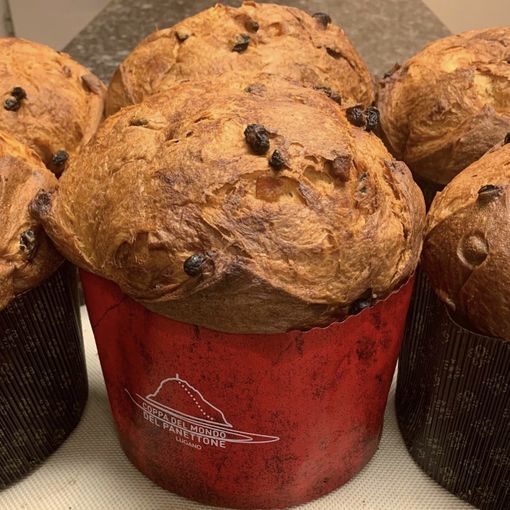 A Lugano le Selezioni svizzere della Coppa del Mondo del Panettone