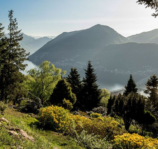 Luoghi del Ticino da non perdere: Parco San Grato – Carona
