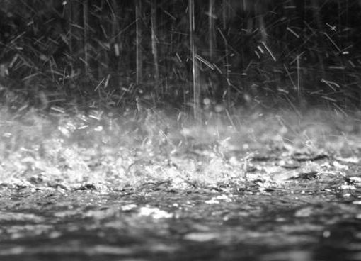 Allagamenti, frane, cedimenti di muri ed alberi caduti ma nessun ferito: il maltempo flagella il Mendrisiotto