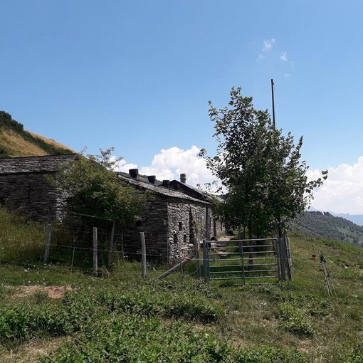 Sulla via degli Alpeggi: Monte Lema - Alpe di Cima Pianca - Miglieglia