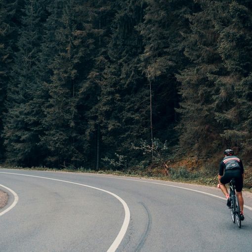Non solo: i più grandi sportivi svizzeri di tutti i tempi