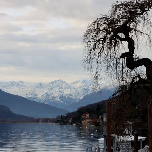 Non solo il lago Maggiore, il livello delle acque fa discutere anche per il Rodano
