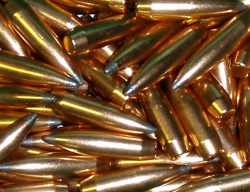 Svizzera, eliminati 280 proiettili inesplosi