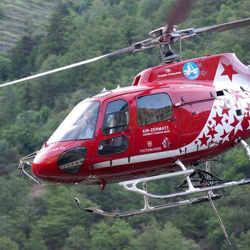 Quindici mucche morte in un burrone nel vicino Canton Vallese