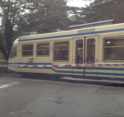 Da domenica riprendono i collegamenti in treno tra Domo e Locarno