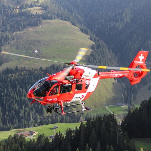 Canton Ticino, cade dall'albero durante la potatura: soccorso con l'elicottero
