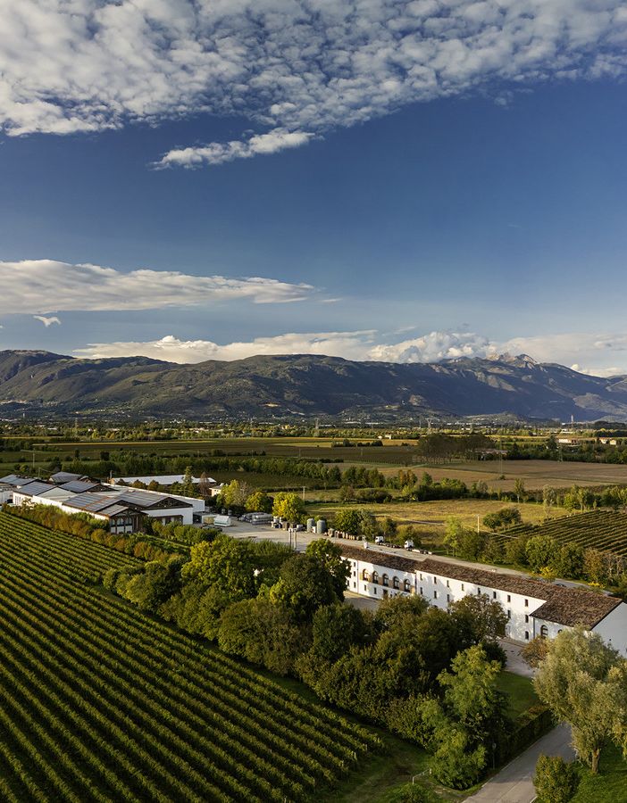 I vini Bottega senza paura dei dazi