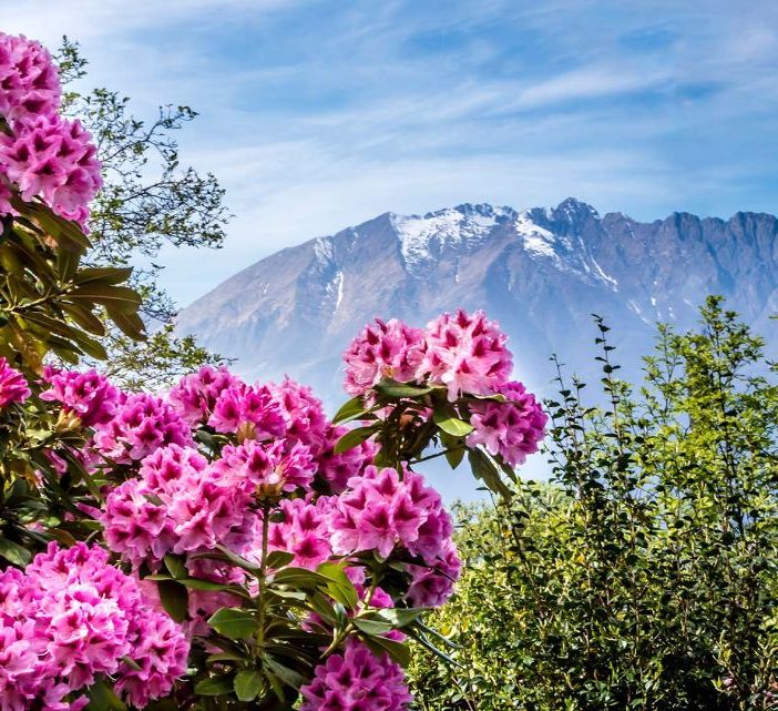 A spasso nel Canton Ticino. Tra monti e lago - Sentiero educativo