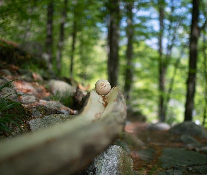 Sapevate che in Ticino esiste il “BoBosco”?
