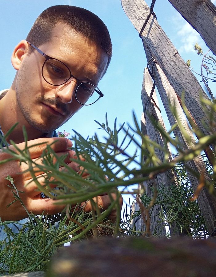 Alessio Maccagni