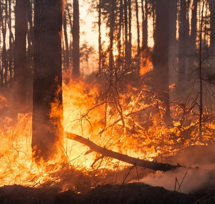 Incendio boschivo sotto la zona Prato Grande, nel Luganese