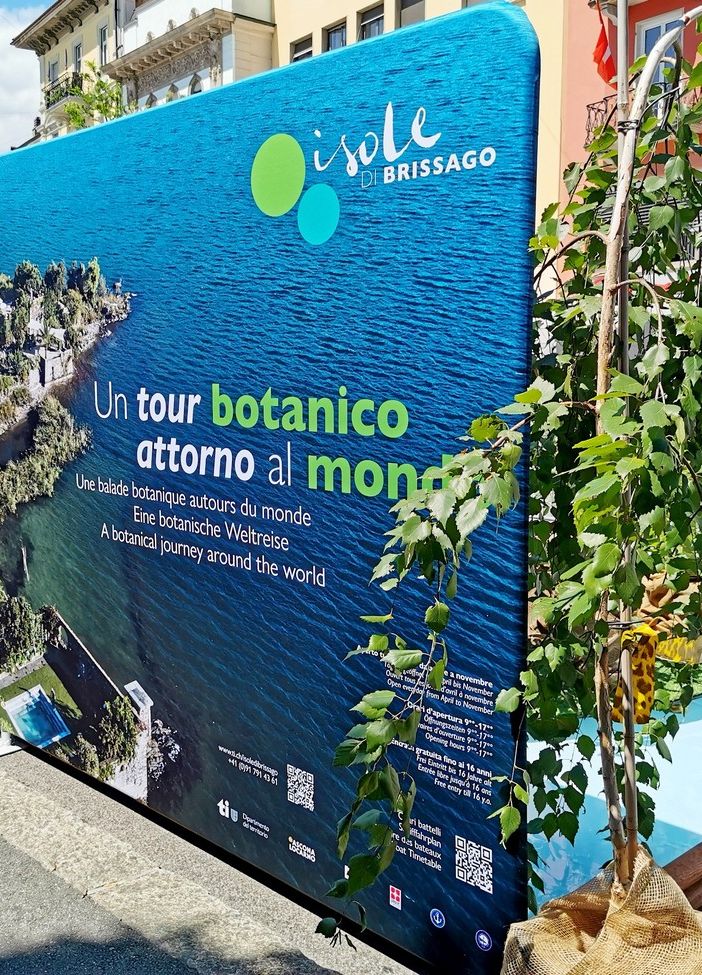 Le Isole di Brissago fanno bella mostra di sè nel cuore del Locarno Film Festival