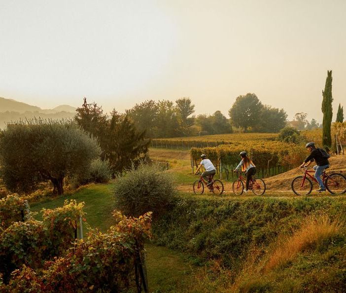 Pedalando nel Mendrisiotto alla scoperta del vino
