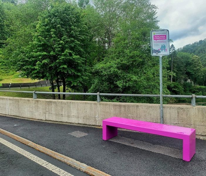 Installate a Palagnedra le panchine viola per il car pooling