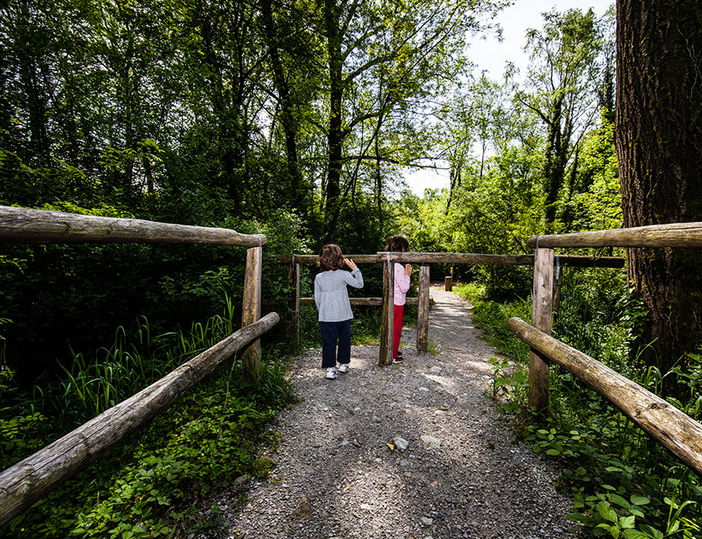Il Parco della Valle della Motta