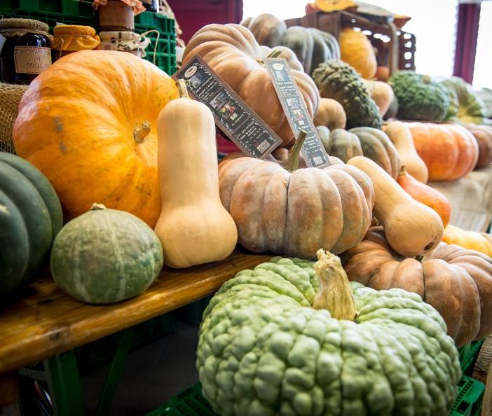 Di che zucca siete? Scopritelo alla Sagra della zucca di Castel San Pietro