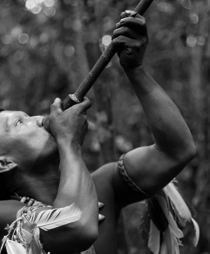 Amazzonia, l’ultima foresta va in scena al Cinema Forum di Bellinzona