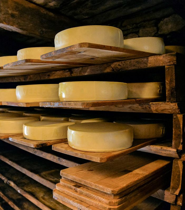 Al via la nona edizione della rassegna agroalimentare “Caseifici aperti”