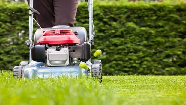 Domani la giornata contro il rumore 2022: per un giardinaggio silenzioso