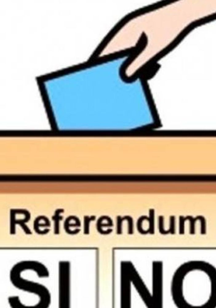 Domenica 29 novembre la Svizzera torna alle urne per due referendum