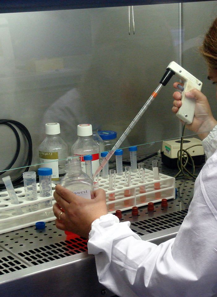 La Svizzera firma quattro contratti per lo sviluppo di farmaci contro il Covid-19