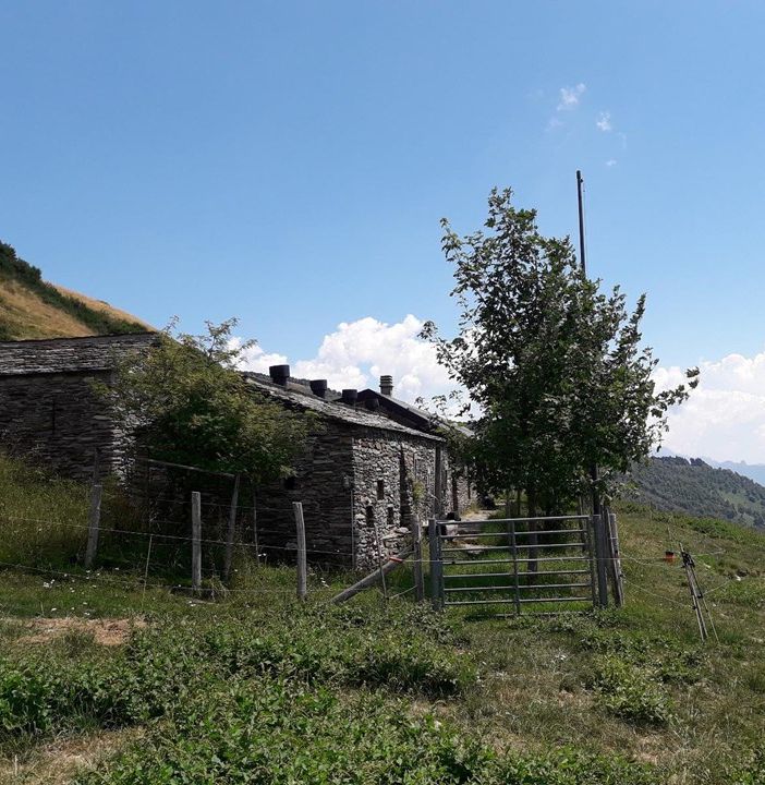 Sulla via degli Alpeggi: Monte Lema - Alpe di Cima Pianca - Miglieglia