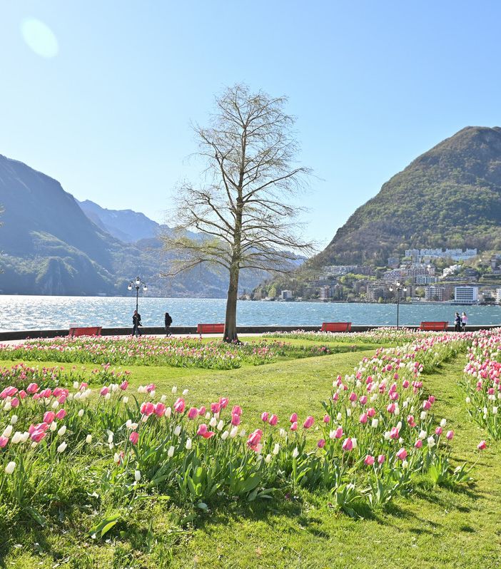 In Ticino un clima mediterraneo come in Croazia?