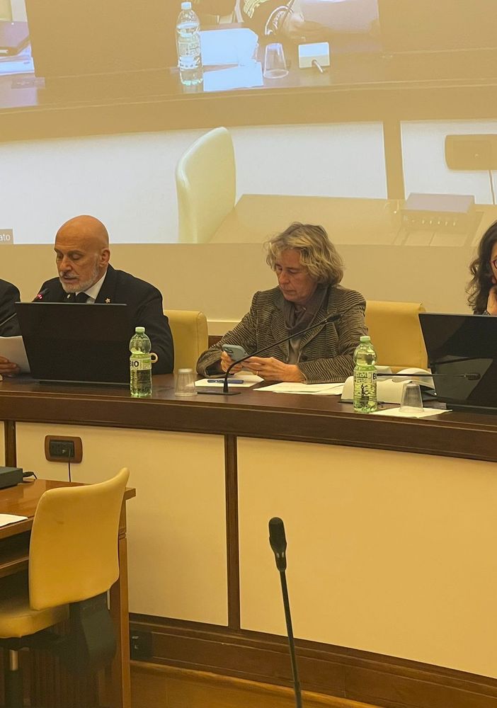 La commissione difesa al Senato durante la riunione di oggi