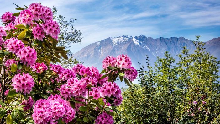 A spasso nel Canton Ticino. Tra monti e lago - Sentiero educativo