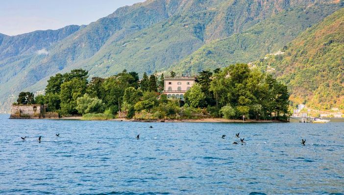 Luoghi del Ticino da non perdere: le Isole di Brissago ed il Giardino Botanico Luoghi del Ticino da non perdere: le Isole di Brissago ed il Giardino Botanico