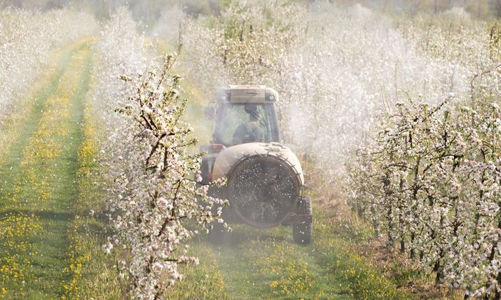 Acqua potabile pulita e cibo sano? La Svizzera al voto il 13 giugno