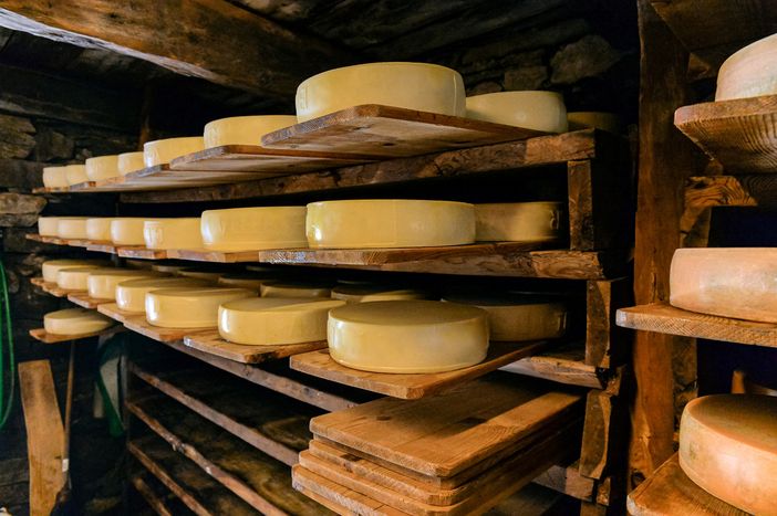 Al via la nona edizione della rassegna agroalimentare “Caseifici aperti” Al via la nona edizione della rassegna agroalimentare “Caseifici aperti”