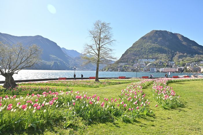 In Ticino un clima mediterraneo come in Croazia?