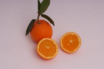 Arance e vitamina C, Bassetti boccia la spremuta: "Meglio mangiarle a spicchi" Arance e vitamina C, Bassetti boccia la spremuta: "Meglio mangiarle a spicchi"