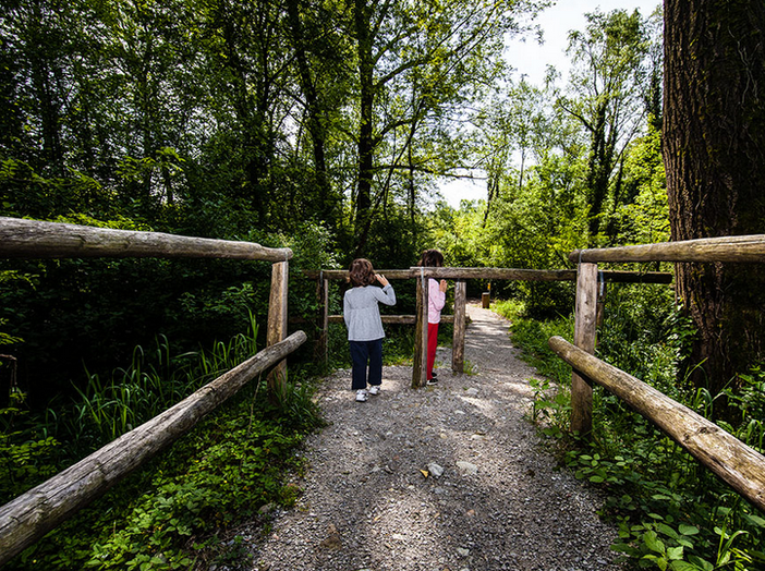 Il Parco della Valle della Motta Il Parco della Valle della Motta