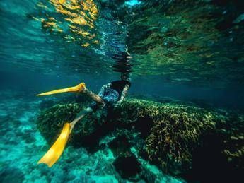 Italiani morti alle Maldive, l'ipotesi: "Uno in difficoltà, gli altri in soccorso" Italiani morti alle Maldive, l'ipotesi: "Uno in difficoltà, gli altri in soccorso"
