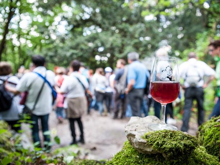 Domenica 10 ottobre a Stabio c’è la "Mangialonga" Domenica 10 ottobre a Stabio c’è la "Mangialonga"