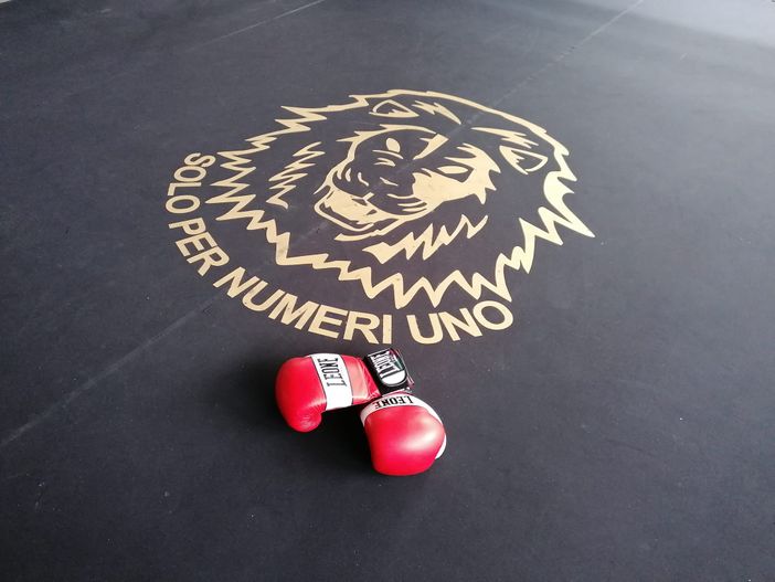 Boxe Verbania, dual match italo-svizzero il 19 febbraio Boxe Verbania, dual match italo-svizzero il 19 febbraio