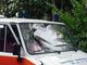Colpito da un ramo mentre taglia albero, morto 48enne nel Bresciano