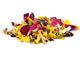 "L'arte di cucinare con i fiori: bellezza e sapori in tavola"