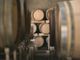 In Ticino si avvicina l’ora delle giornate delle cantine aperte