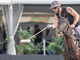Il torneo del Polo Club di Ascona spegne dieci candeline