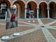 Bellinzona, esposizione fotografica all'aperto “A Carnevale ogni scatto vale”